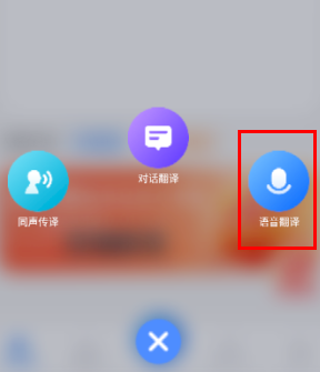 灵豹语音翻译王APP