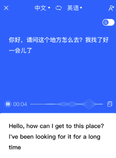 灵豹语音翻译王APP