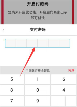 输入支付密码截图