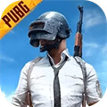 pubg国际服2.6.0版