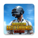 pubg全球服(PUBG MOBILE)