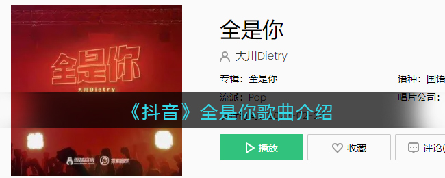 《抖音》全是你歌曲介绍