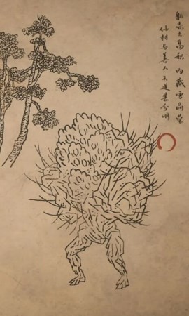 《黑神话：悟空》石苍苍的影神图