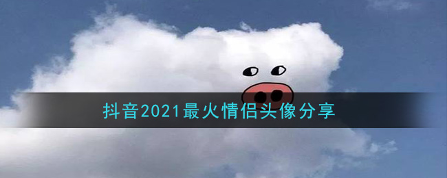 抖音2021最火情侣头像分享