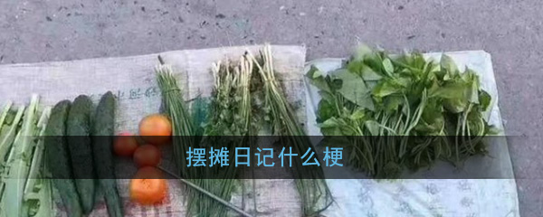 摆摊日记什么梗