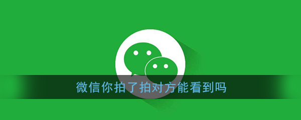 《微信》你拍了拍对方能看到吗