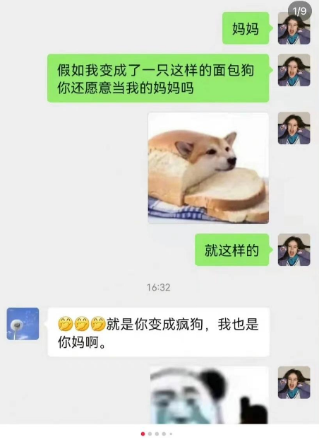 香肠狗的含义及梗的由来