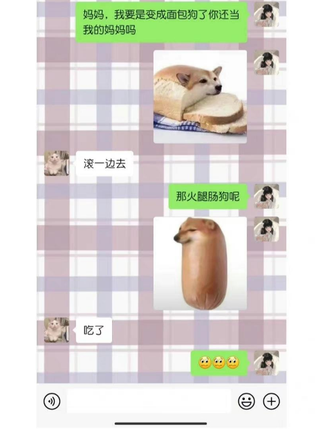 香肠狗什么意思