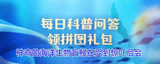 神奇的海洋生物盲鳗在受到惊吓后会