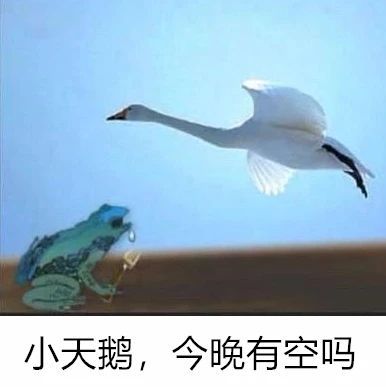 抖音小天鹅今晚有空吗表情包原图下载