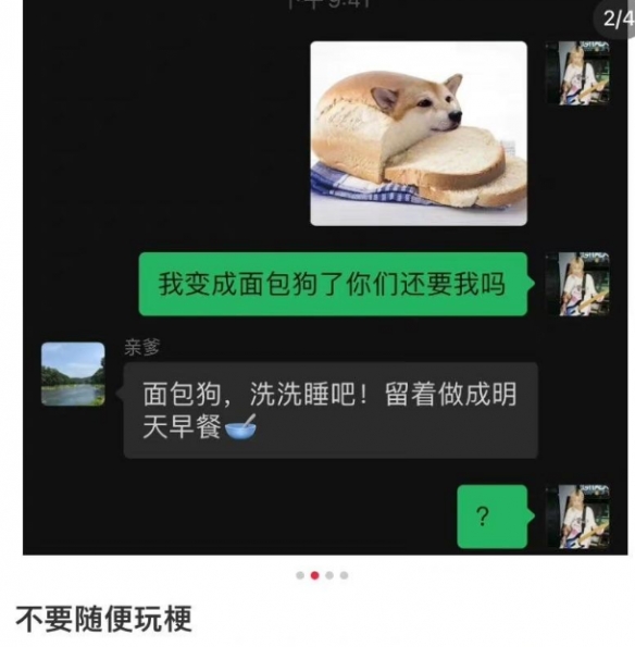 香肠狗什么意思