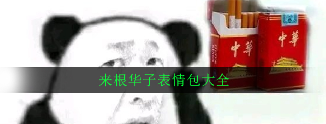 来根华子表情包大全